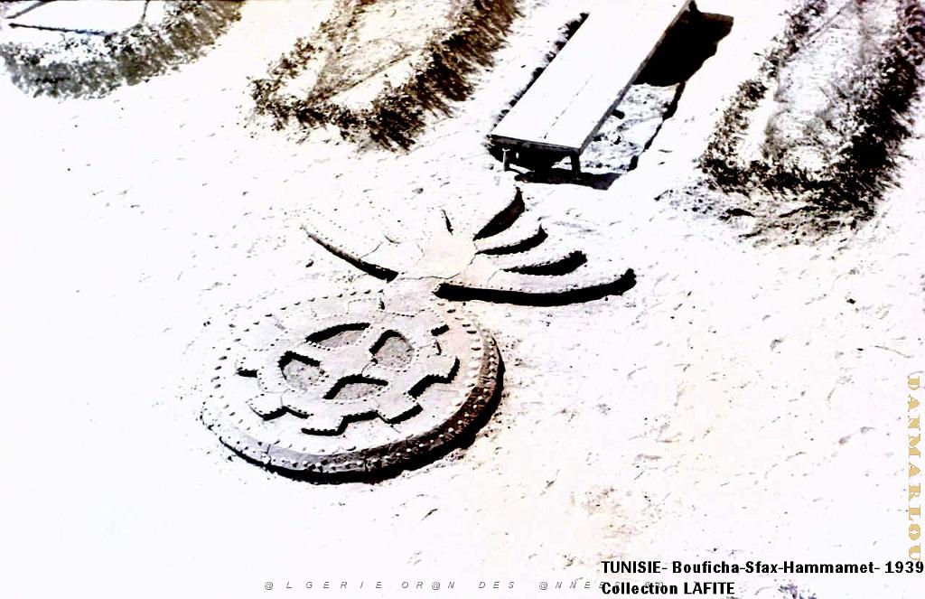 TUNISIE 1939  66 EME  REGIMENT D ARTILLERIE (5).JPG
